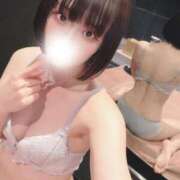 ヒメ日記 2025/06/28 15:56 投稿 りず アラカルト