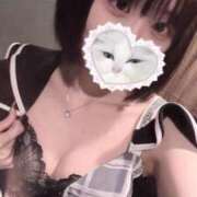 ヒメ日記 2025/07/25 06:48 投稿 りず アラカルト