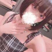 ヒメ日記 2025/07/27 06:57 投稿 りず アラカルト