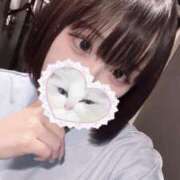 ヒメ日記 2025/08/01 06:46 投稿 りず アラカルト