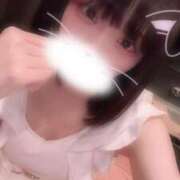 ヒメ日記 2025/09/09 06:57 投稿 りず アラカルト