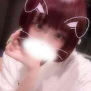 ヒメ日記 2025/09/29 06:52 投稿 りず アラカルト