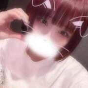 ヒメ日記 2025/10/01 06:49 投稿 りず アラカルト