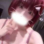 ヒメ日記 2025/10/06 09:54 投稿 りず アラカルト