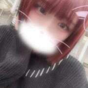 ヒメ日記 2025/10/26 08:31 投稿 りず アラカルト