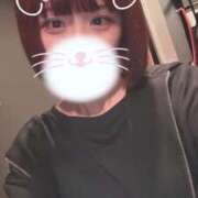 ヒメ日記 2025/10/31 06:54 投稿 りず アラカルト