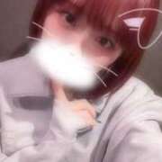 ヒメ日記 2025/11/02 06:51 投稿 りず アラカルト