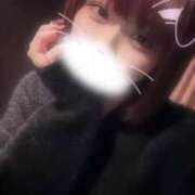 ヒメ日記 2025/11/10 06:49 投稿 りず アラカルト