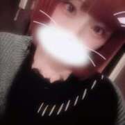 ヒメ日記 2025/11/15 06:57 投稿 りず アラカルト