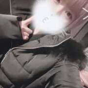 ヒメ日記 2025/11/29 06:50 投稿 りず アラカルト