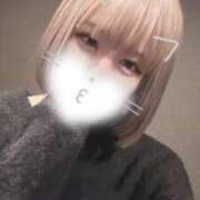 ヒメ日記 2025/12/01 08:46 投稿 りず アラカルト