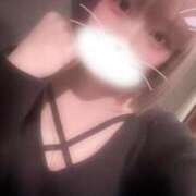 ヒメ日記 2025/12/02 06:47 投稿 りず アラカルト