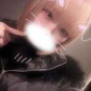 ヒメ日記 2026/01/05 06:53 投稿 りず アラカルト