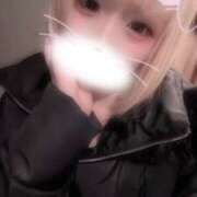 ヒメ日記 2026/01/30 06:54 投稿 りず アラカルト