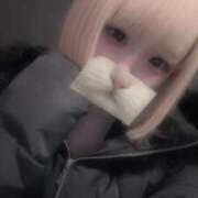 ヒメ日記 2026/02/21 08:30 投稿 りず アラカルト