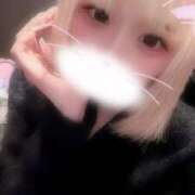 ヒメ日記 2026/02/28 06:48 投稿 りず アラカルト