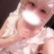 ヒメ日記 2026/03/29 06:52 投稿 りず アラカルト