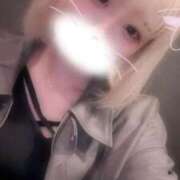 ヒメ日記 2026/04/07 06:50 投稿 りず アラカルト