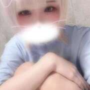ヒメ日記 2026/07/07 06:46 投稿 りず アラカルト