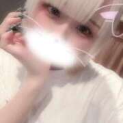 ヒメ日記 2026/07/12 06:52 投稿 りず アラカルト