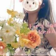 ヒメ日記 2025/04/05 23:46 投稿 れいこ 吉原ファーストレディ