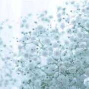 ヒメ日記 2025/07/02 07:15 投稿 れいこ 吉原ファーストレディ