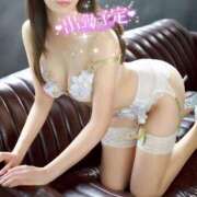 ヒメ日記 2025/07/09 06:44 投稿 れいこ 吉原ファーストレディ