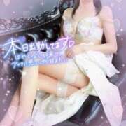 ヒメ日記 2025/07/14 15:36 投稿 れいこ 吉原ファーストレディ