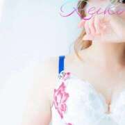 ヒメ日記 2025/09/15 18:56 投稿 れいこ 吉原ファーストレディ