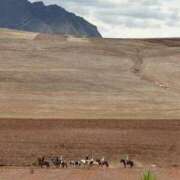 ヒメ日記 2025/11/11 23:01 投稿 れいこ 吉原ファーストレディ