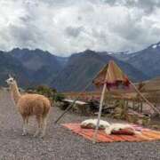 ヒメ日記 2025/11/12 03:56 投稿 れいこ 吉原ファーストレディ