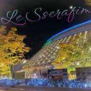 ヒメ日記 2025/11/20 11:46 投稿 れいこ 吉原ファーストレディ