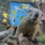 ヒメ日記 2025/12/03 00:10 投稿 れいこ 吉原ファーストレディ