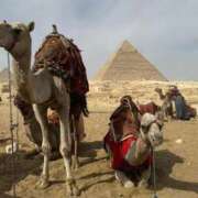 ヒメ日記 2026/02/10 10:40 投稿 れいこ 吉原ファーストレディ