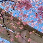 ヒメ日記 2026/03/01 10:46 投稿 れいこ 吉原ファーストレディ