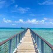 ヒメ日記 2026/04/15 11:17 投稿 れいこ 吉原ファーストレディ