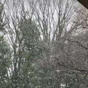 ヒメ日記 2025/03/03 15:04 投稿 メル ドMなバニーちゃん大宮店