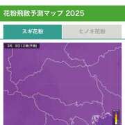 ヒメ日記 2025/03/09 12:35 投稿 メル ドMなバニーちゃん大宮店