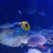 ヒメ日記 2025/04/19 14:02 投稿 メル ドMなバニーちゃん大宮店