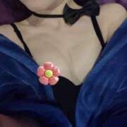 ヒメ日記 2025/11/16 13:15 投稿 メル ドMなバニーちゃん大宮店