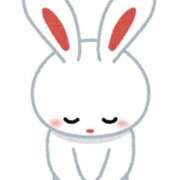 ヒメ日記 2026/01/03 10:39 投稿 メル ドMなバニーちゃん大宮店