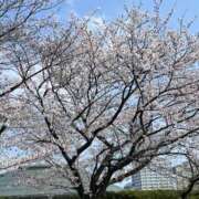 ヒメ日記 2025/04/07 10:08 投稿 静華(しずか) エッチな熟女(広島)