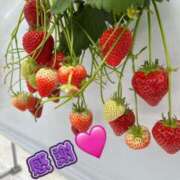 ヒメ日記 2025/06/10 13:58 投稿 静華(しずか) エッチな熟女(広島)