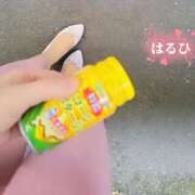 ヒメ日記 2025/02/03 10:07 投稿 はるひ 奥鉄オクテツ神奈川店（デリヘル市場グループ）