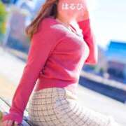 ヒメ日記 2025/02/11 12:11 投稿 はるひ 奥鉄オクテツ神奈川店（デリヘル市場グループ）