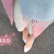 ヒメ日記 2025/02/12 09:09 投稿 はるひ 奥鉄オクテツ神奈川店（デリヘル市場グループ）