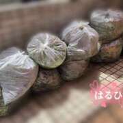 ヒメ日記 2025/05/11 13:52 投稿 はるひ 奥鉄オクテツ神奈川店（デリヘル市場グループ）