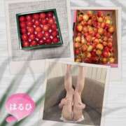 ヒメ日記 2025/06/08 10:01 投稿 はるひ 奥鉄オクテツ神奈川店（デリヘル市場グループ）