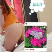 ヒメ日記 2025/06/10 14:48 投稿 はるひ 奥鉄オクテツ神奈川店（デリヘル市場グループ）