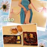 ヒメ日記 2025/07/22 13:59 投稿 はるひ 奥鉄オクテツ神奈川店（デリヘル市場グループ）